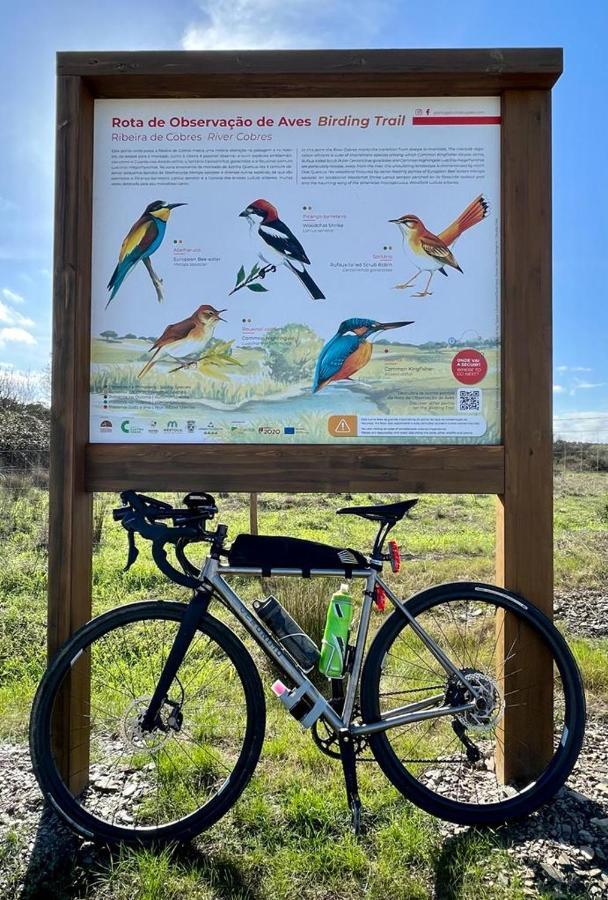 4Bs - Birds & Bicycles Διαμέρισμα Castro Verde Εξωτερικό φωτογραφία