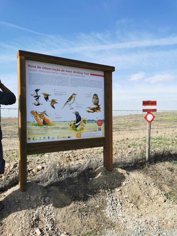 4Bs - Birds & Bicycles Διαμέρισμα Castro Verde Εξωτερικό φωτογραφία
